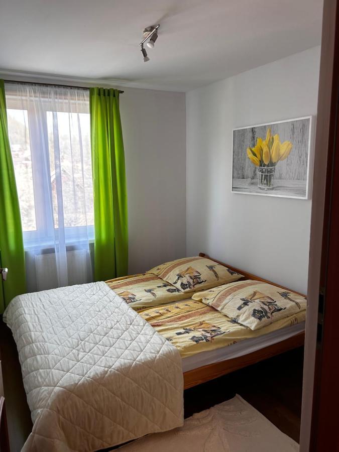 Nad Grajcarkiem Pieniny Apartment Шчавница Екстериор снимка
